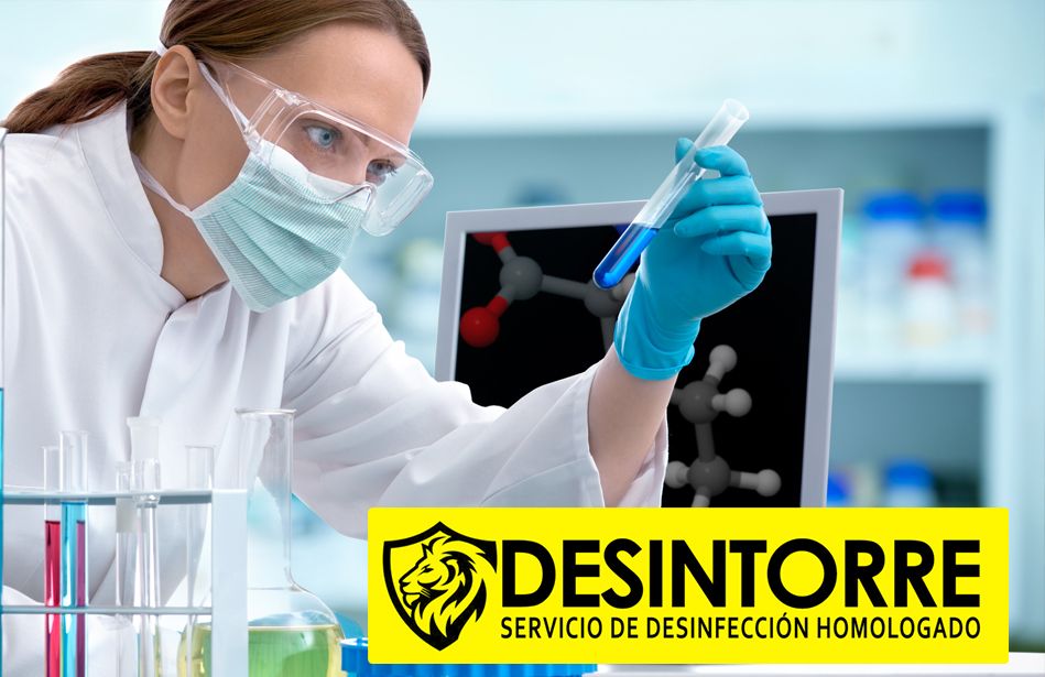 Legionella: qué es y cómo prevenirla, por DESINTORRE