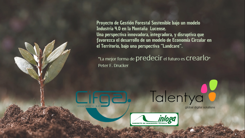 Un consorcio gallego presenta una MDI al MITECO sobre Gestión Forestal sostenible 4.0 en Pedrafita