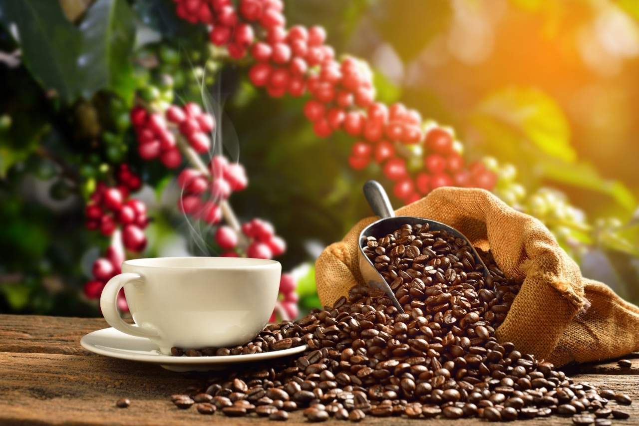 Café de especialidad en Santiago de Compostela por el sueño gallego: Coffee Mori