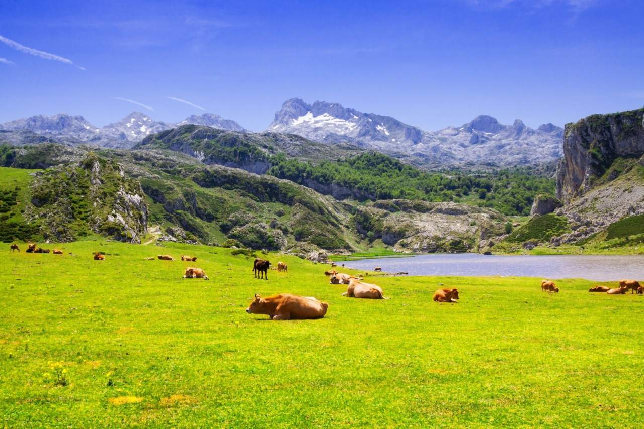 Jaire Viajes: La importancia de las agencias de viajes en Asturias