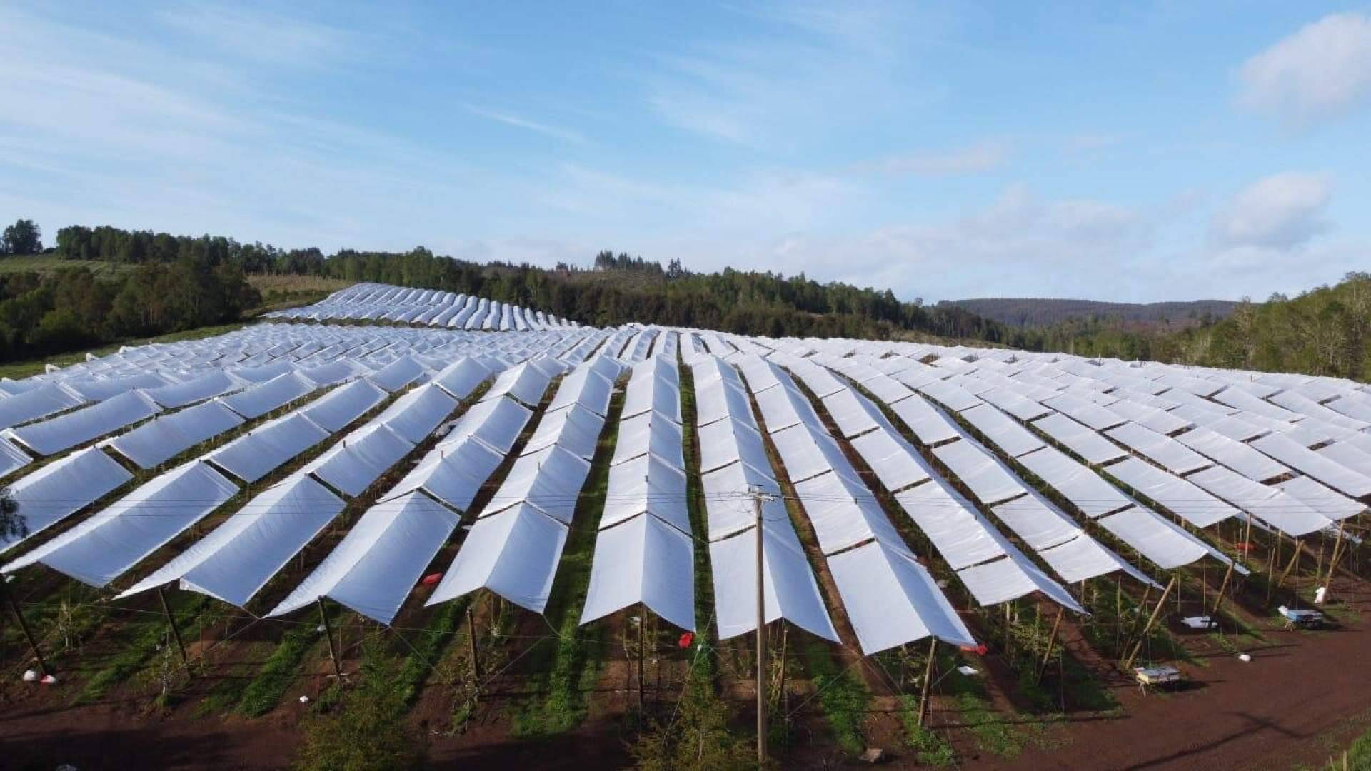 El gran paquete tecnológico de Agralia para la protección de cultivos: AGRICOVER