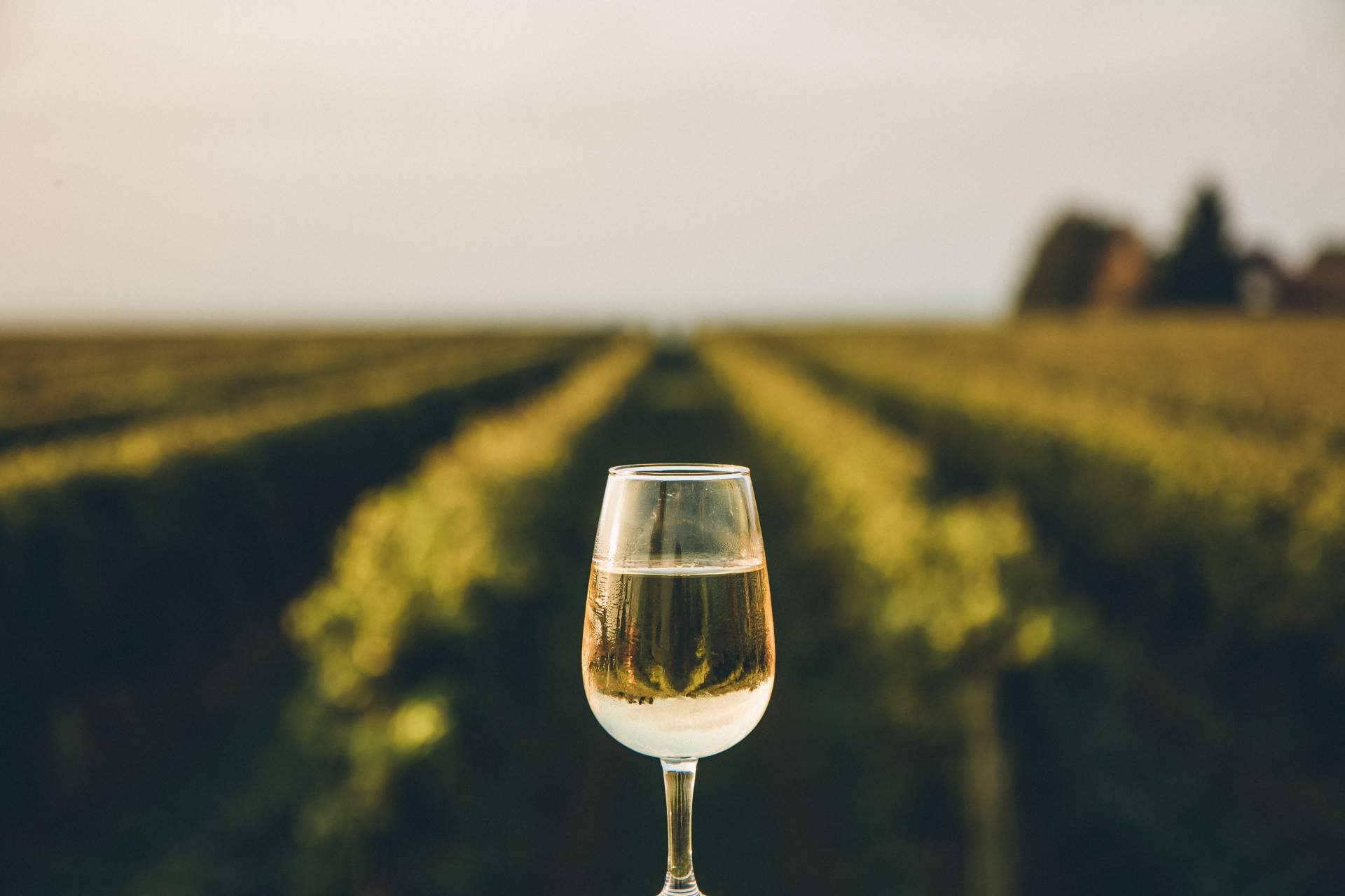 De Gálvez ofrece la naturalidad y el sabor de los vinos del Marco de Jerez