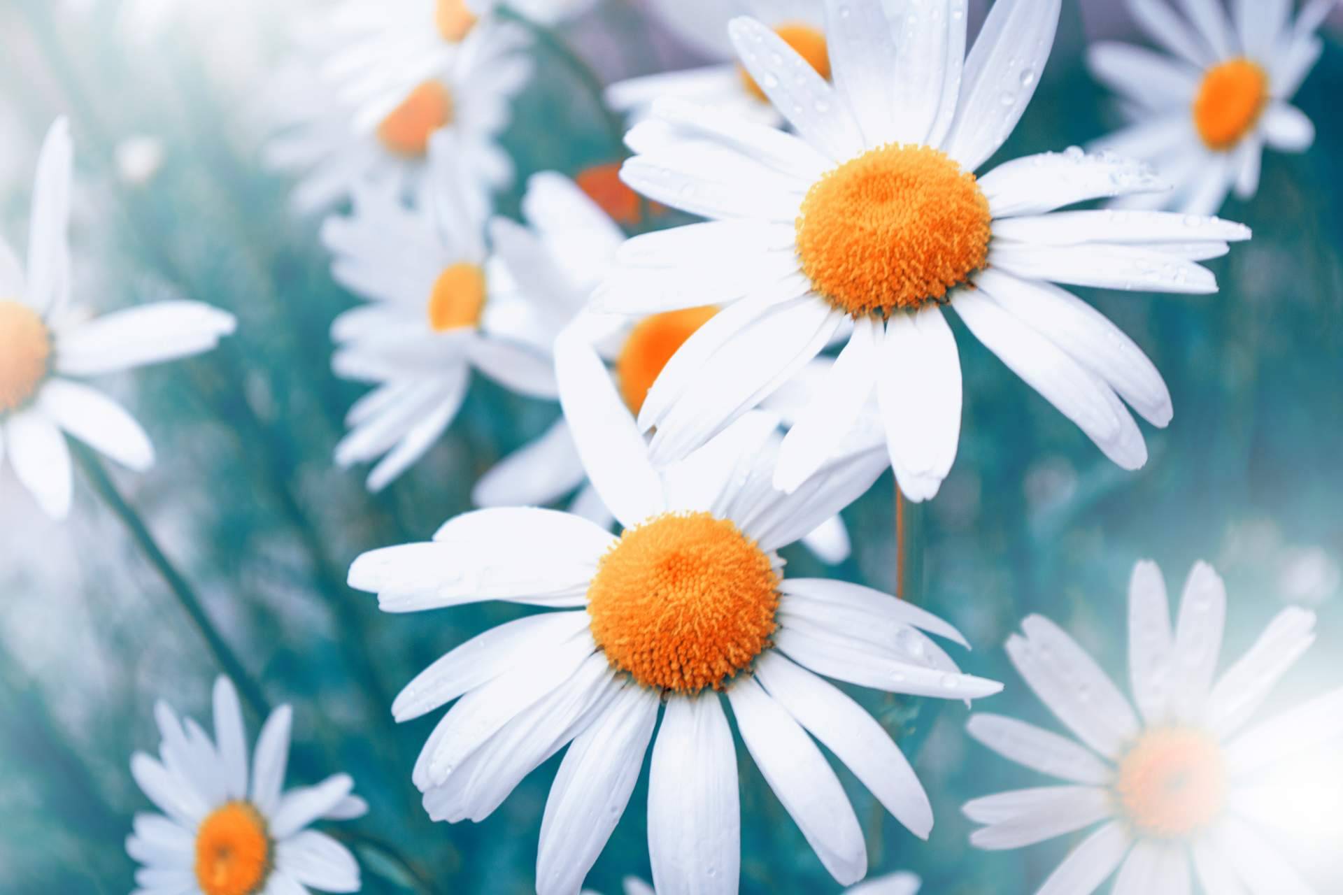 Los beneficios para piel, el pelo y salud en la entre estación fin de verano antes de otoño, por Laboratorios Géomer
