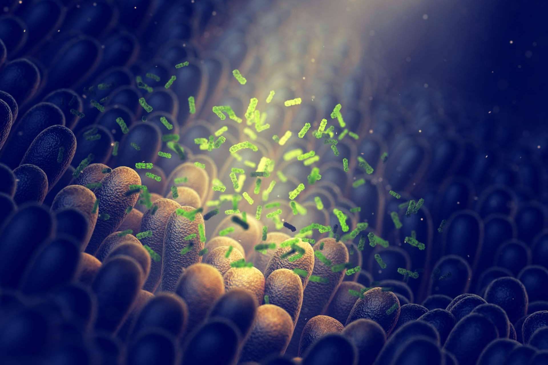 ¿Existe tratamiento para la disbiosis intestinal?