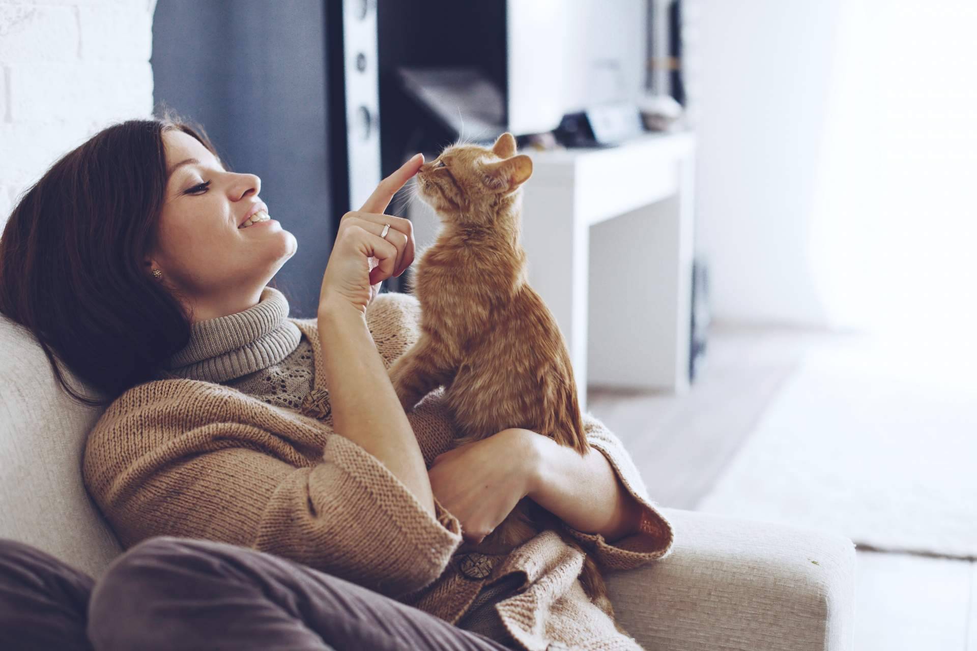 Consejos para una buena convivencia con perros y gatos. La antrozoología y etología del perro y del gato
