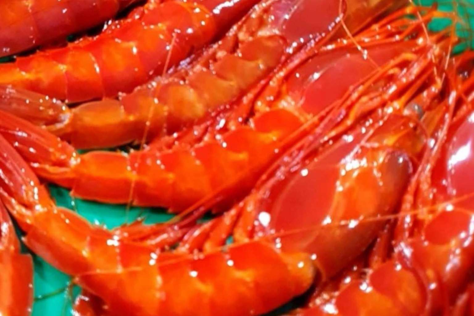 El pescado azul y el pescado blanco de Comprarpescadoonline son la base de una dieta equilibrada