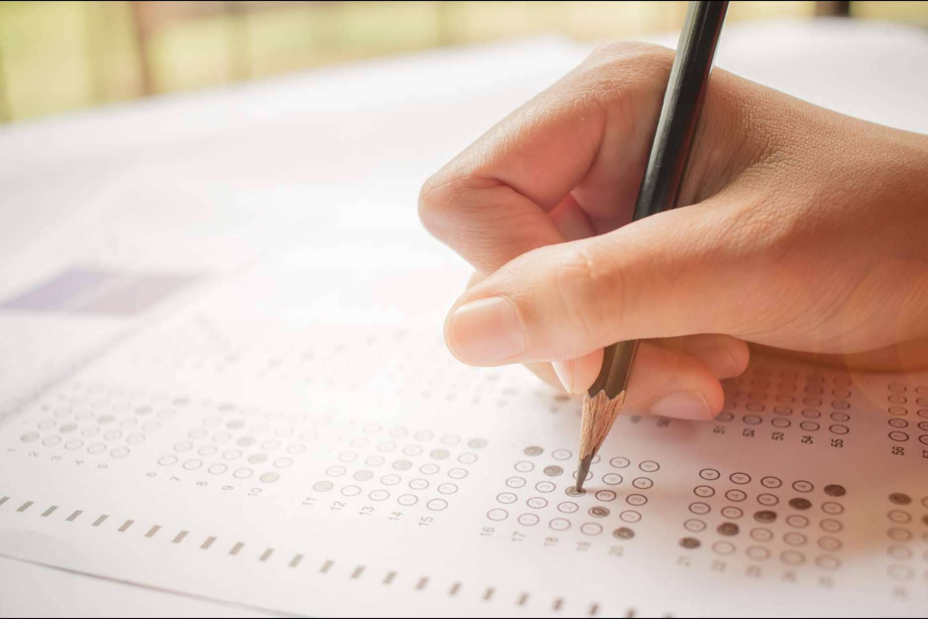 Academia Odiseo, una de las mejores opciones para la preparación de segundo de bachillerato
