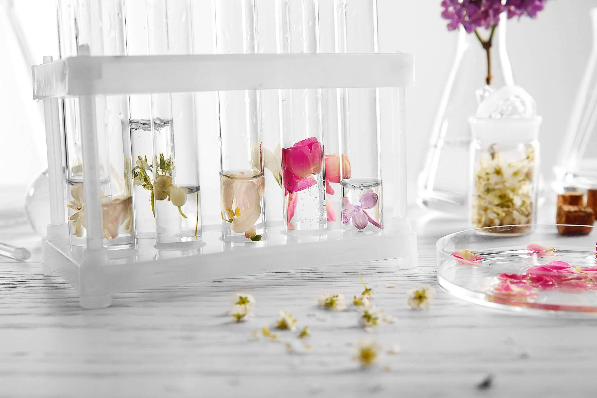 A de Ahorro ofrece productos de cosmética y perfumes