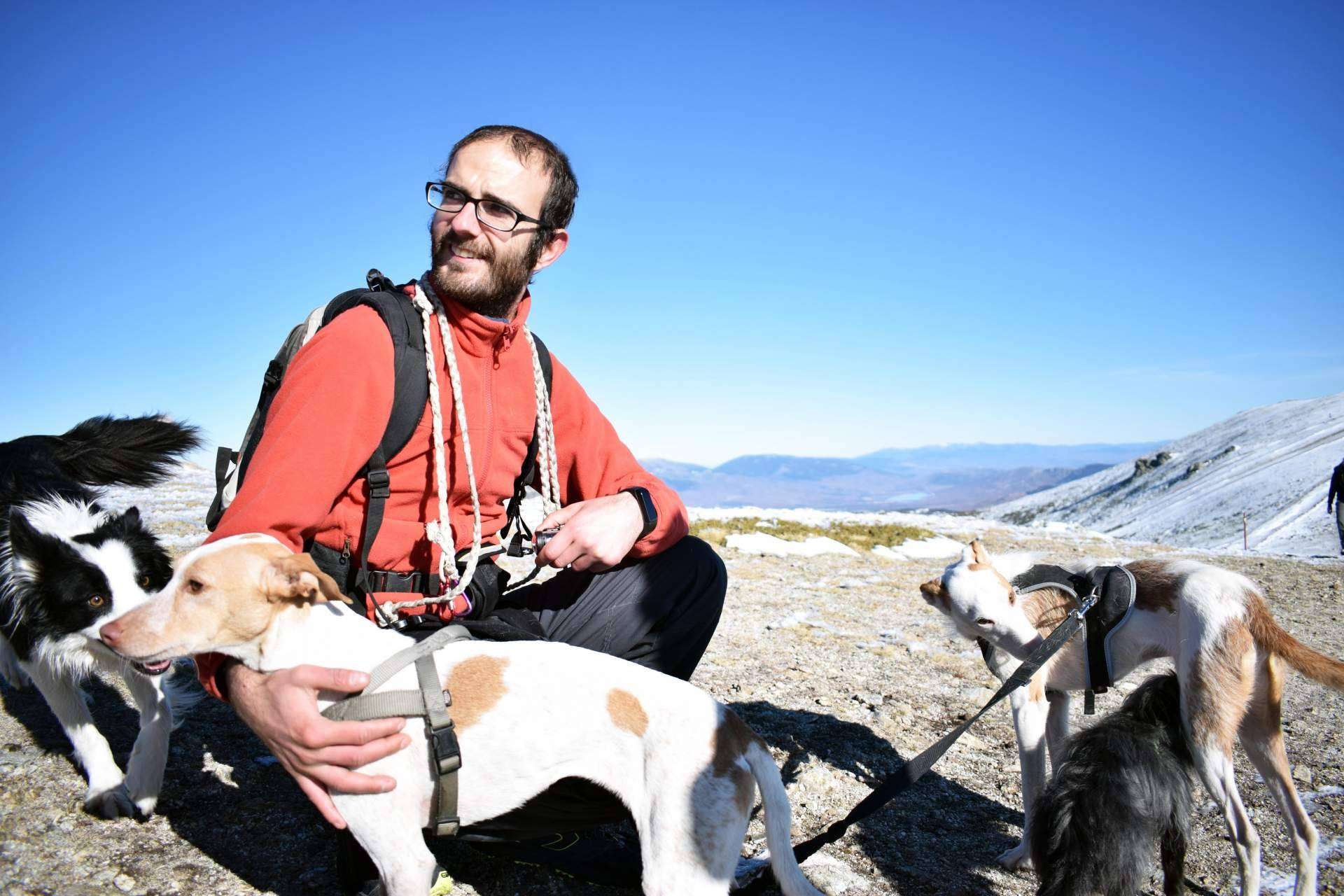Educación canina amable y respetuosa de la mano de David Lapido