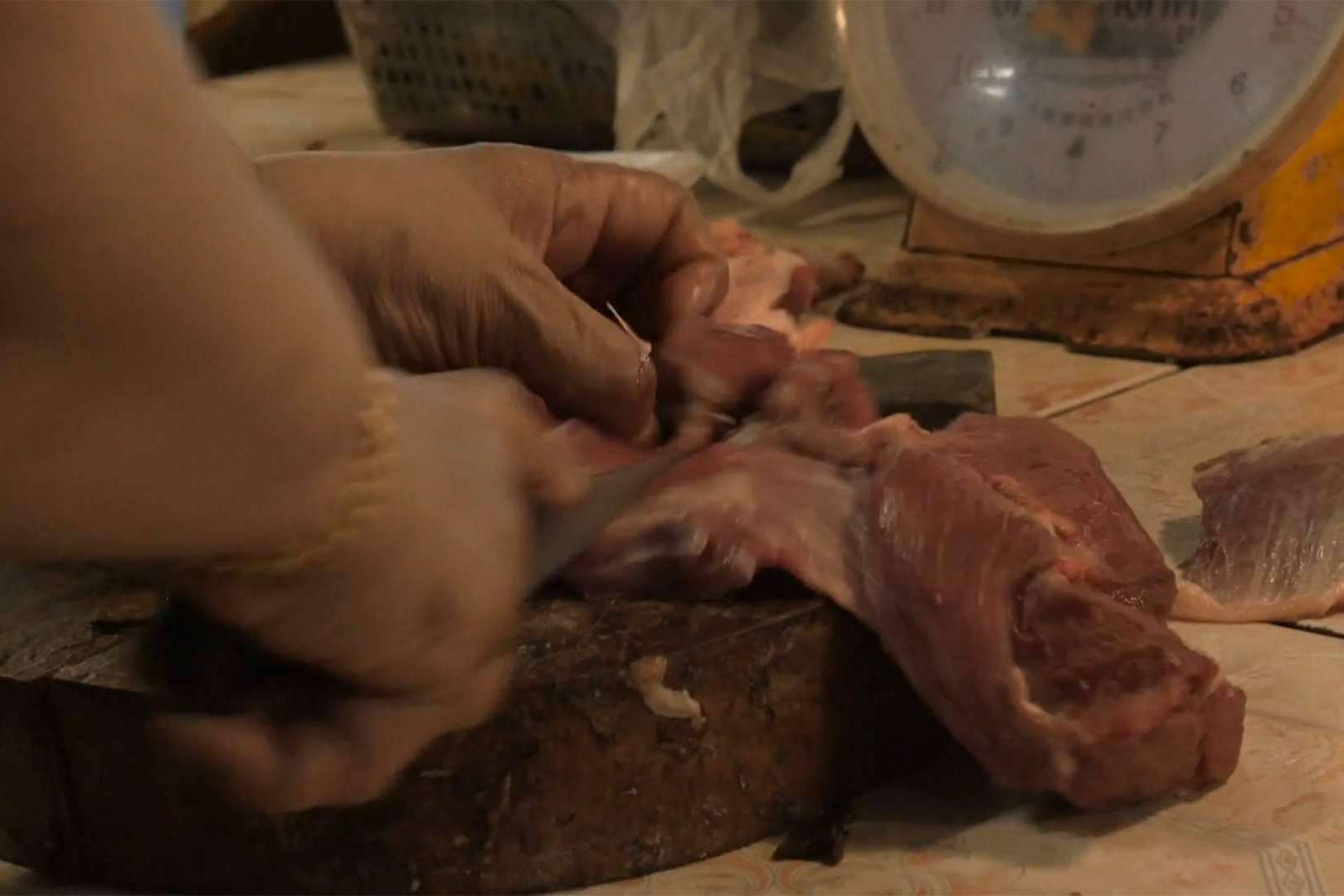 Todo lo que hay que saber sobre las dietas BARF para perros