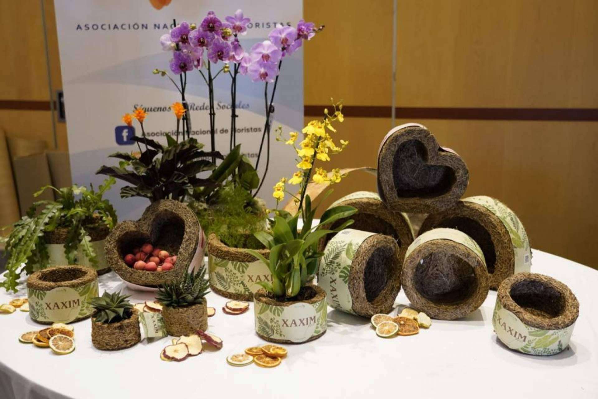 Xaxim Pots, el emprendimiento de Biosolvit Spain, permite contribuir a un mundo verde