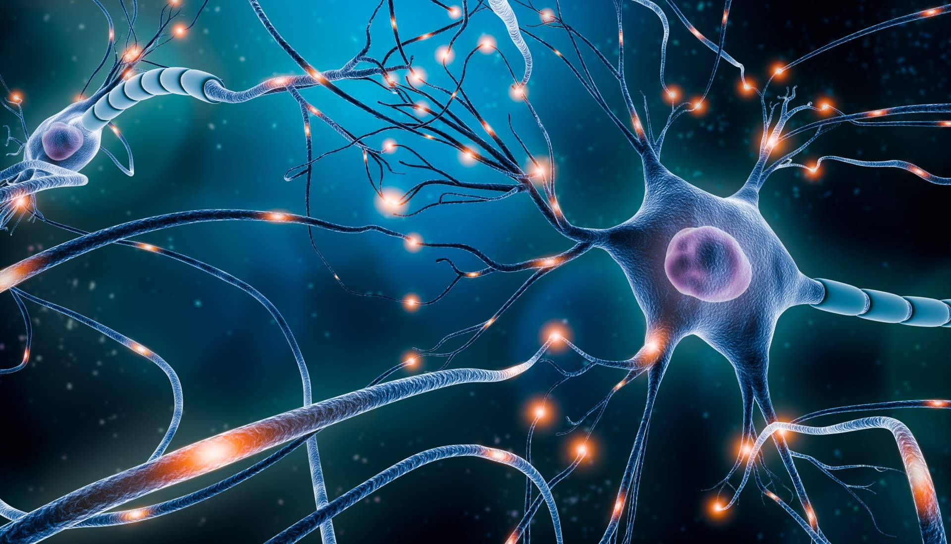 Técnicas neurocientíficas aplicadas al aprendizaje de ILVEM