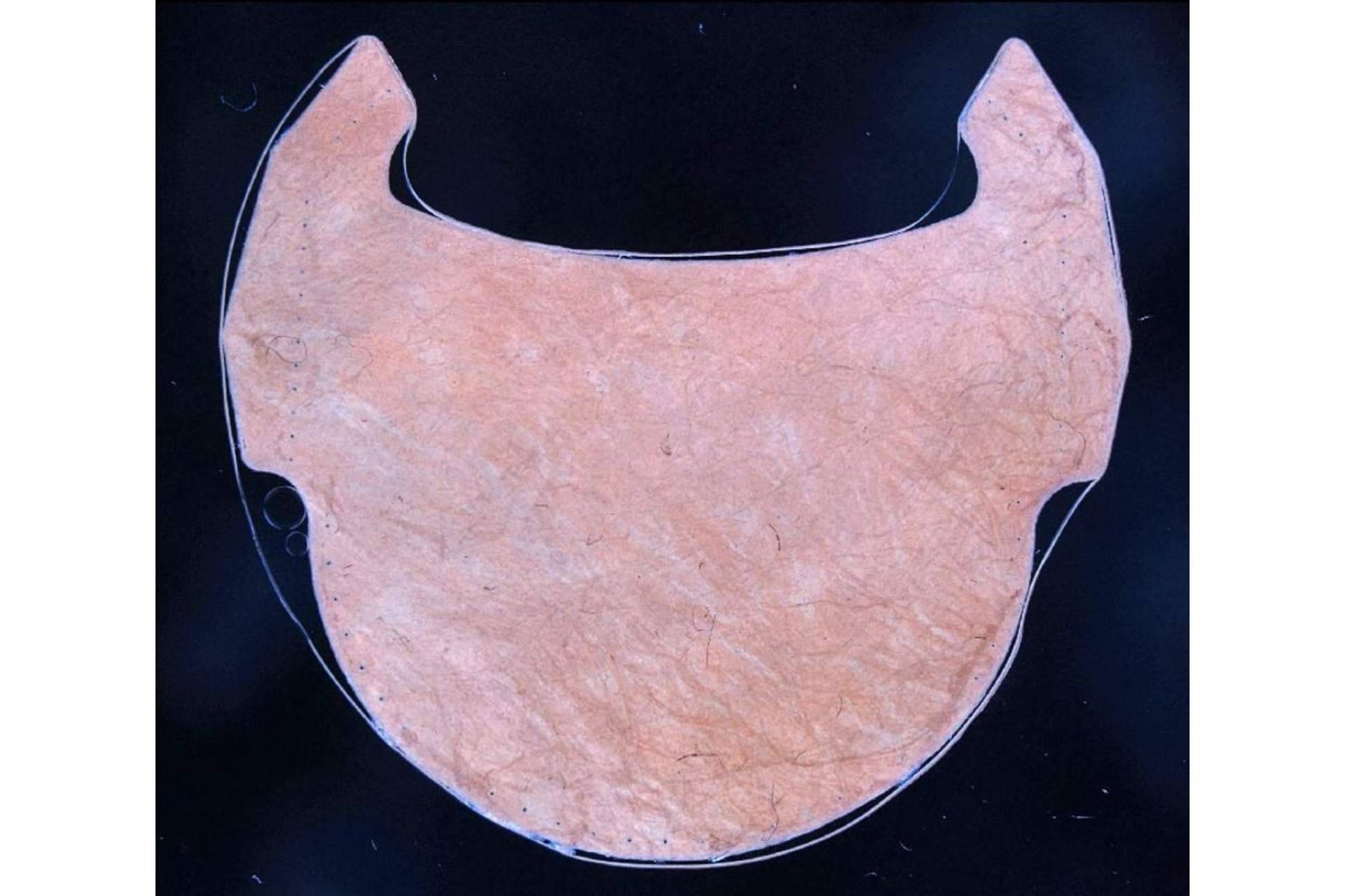 ¿Por qué las válvulas coronarias fabricadas con tejido de corazón animal serán mucho más eficaces y duraderas?