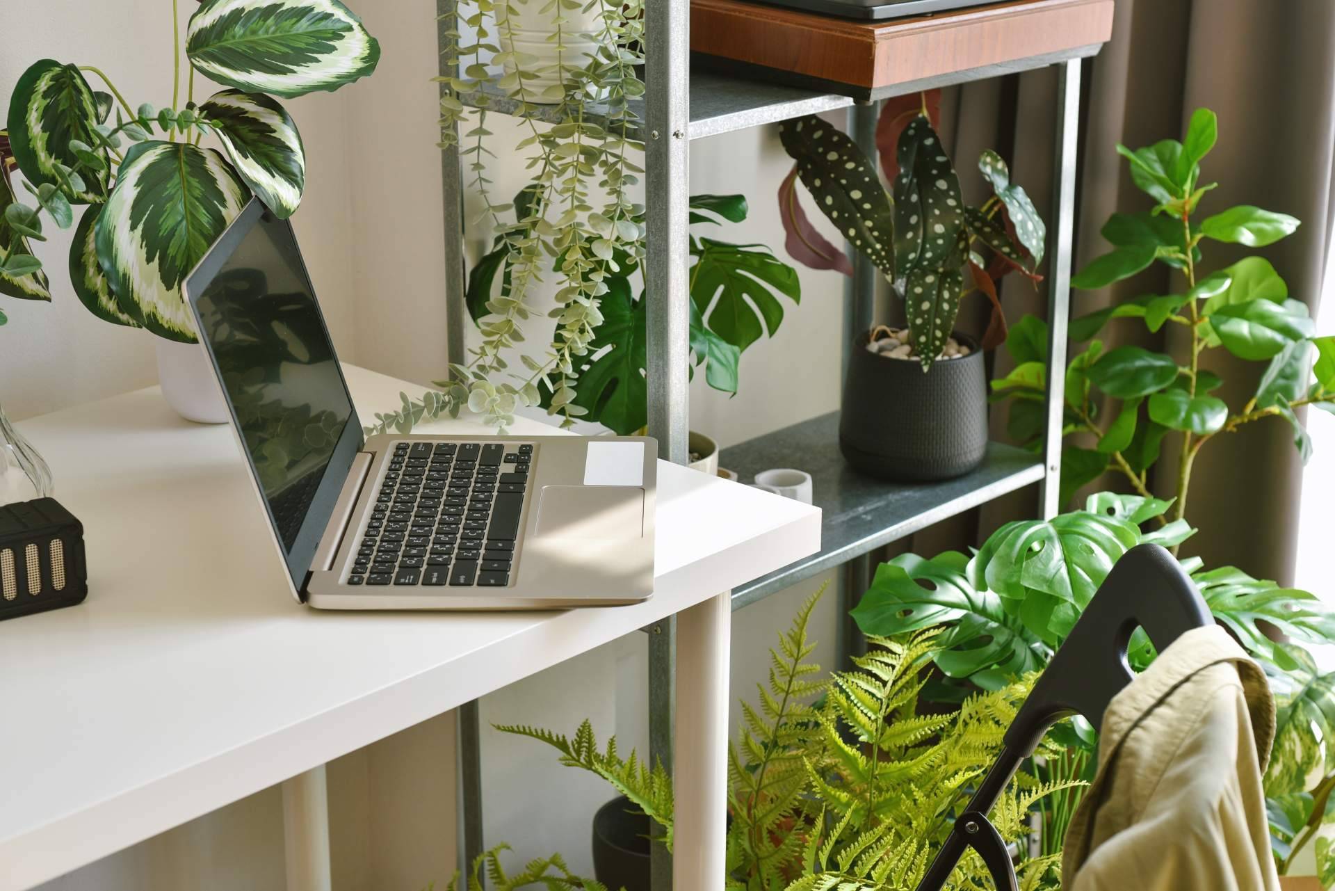 JardínVertical.es explica los motivos para escoger un jardín vertical artificial