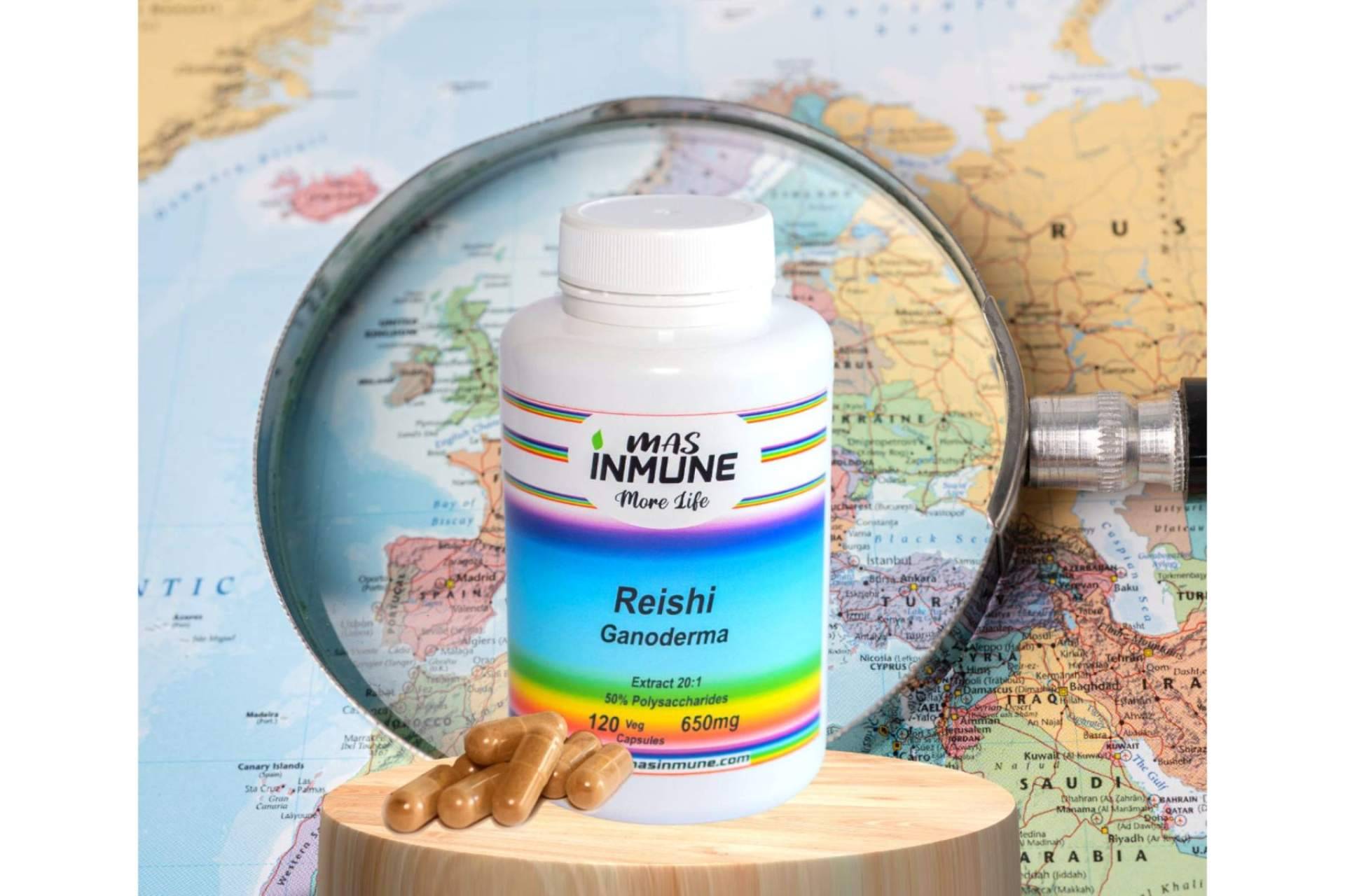 Masinmune produce uno de los mejores Reishi Ganoderma de Europa