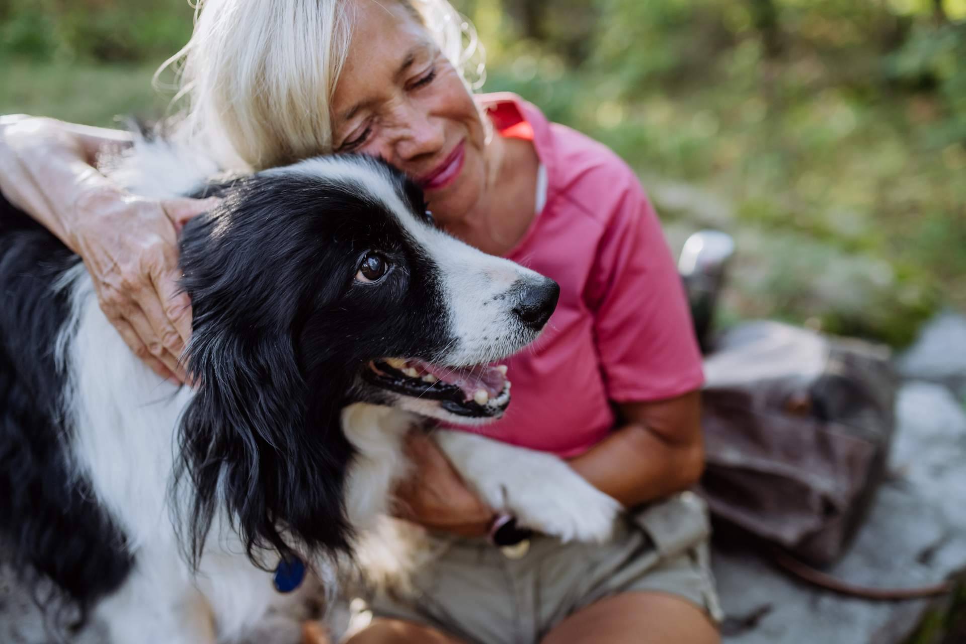 La importancia de adoptar animales, según CaniAusa
