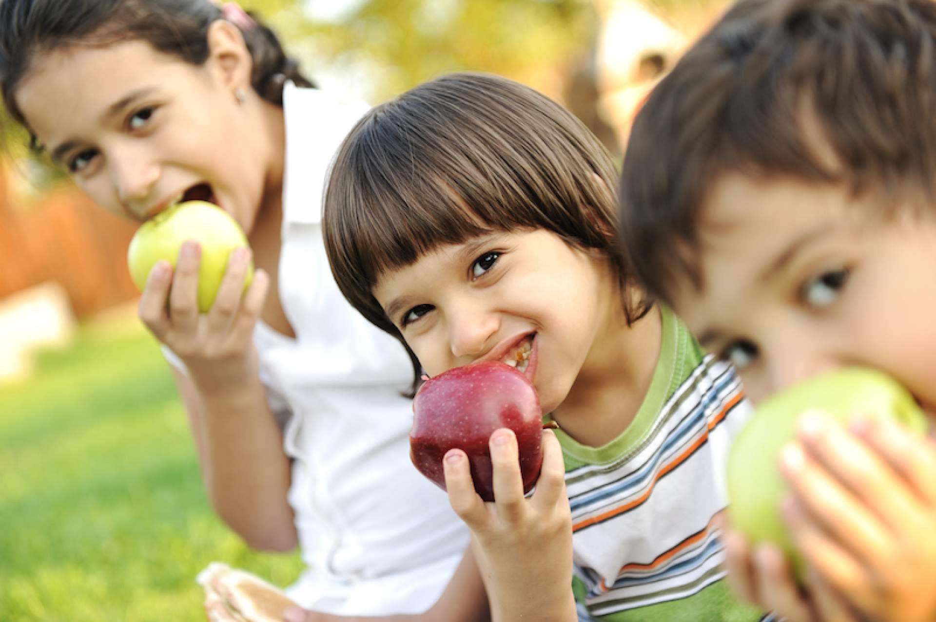 ¿Es seguro el césped artificial para parques infantiles?, con Realgrass