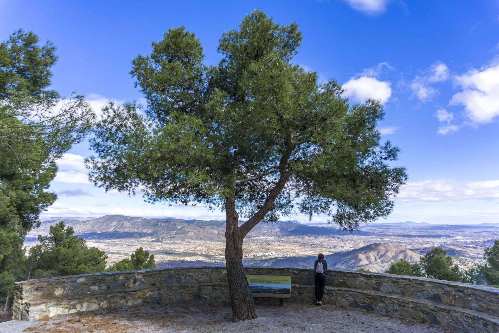 5 cosas importantes para hacer en el interior de Almería, turismo en Almería con Turismo Almanzora