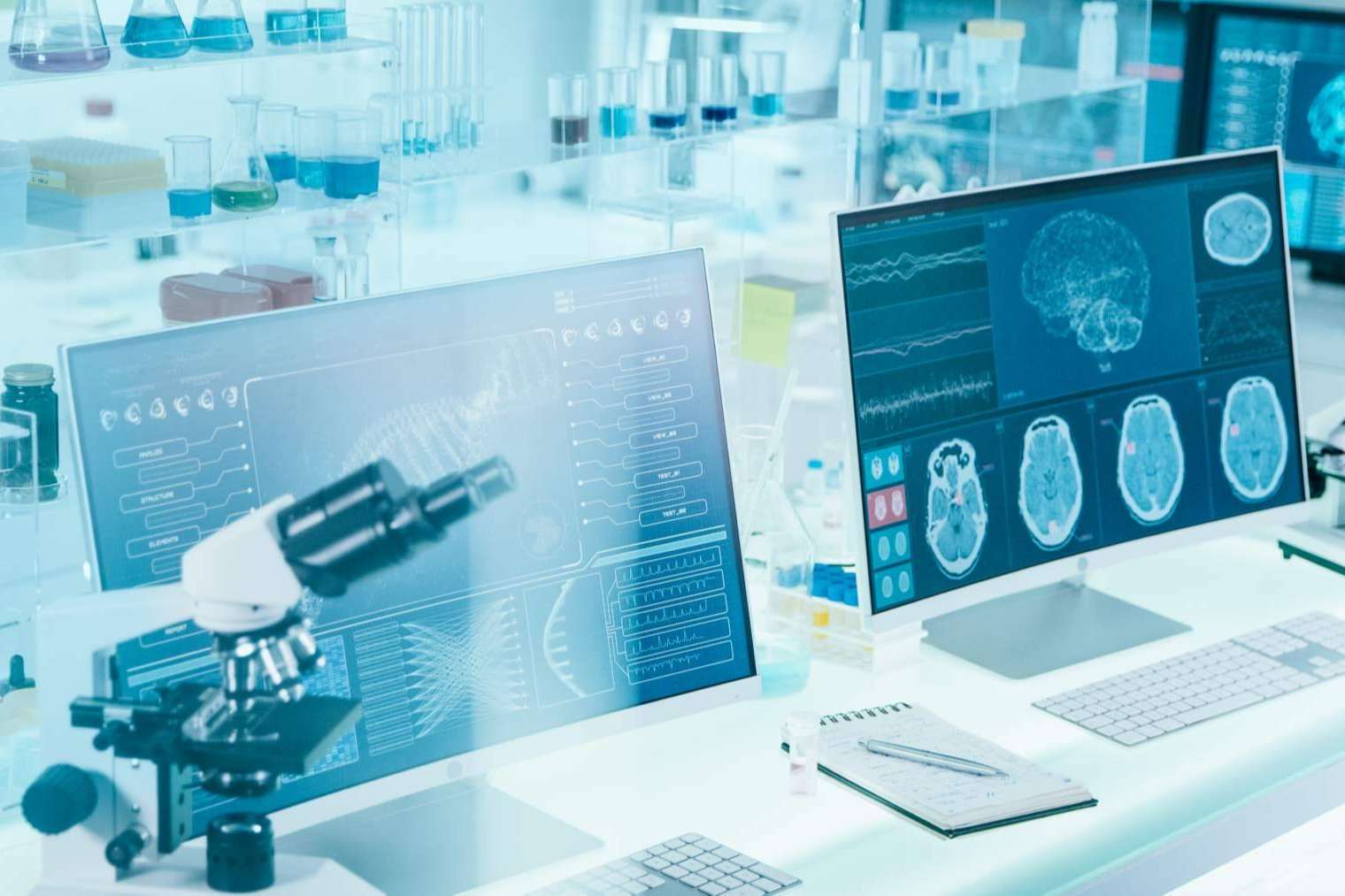 En qué consiste el Máster en Neurociencia de ANE International