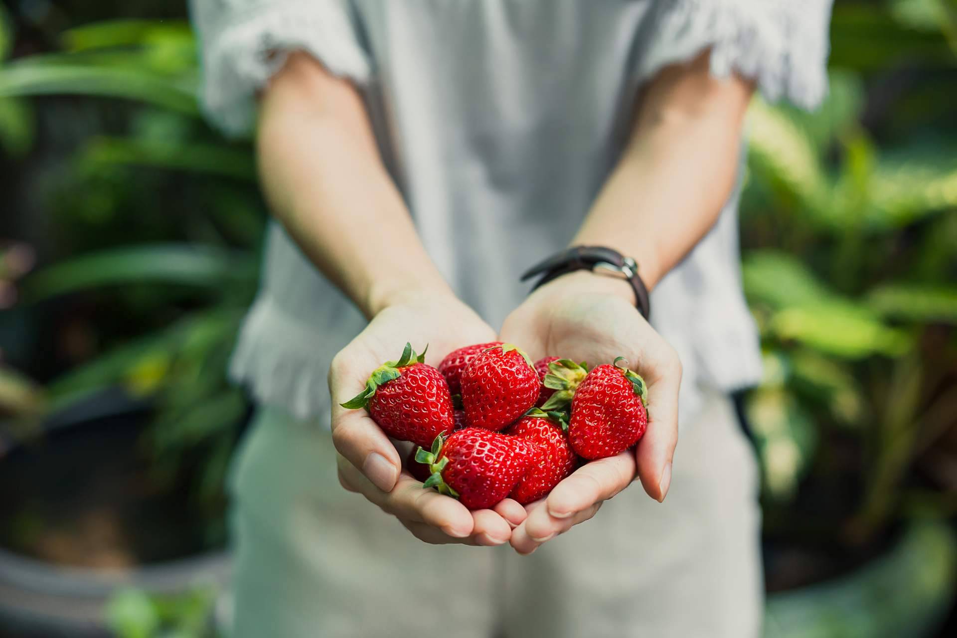 Disminuye la cosecha de fresa 2023 en España, por Baor Products