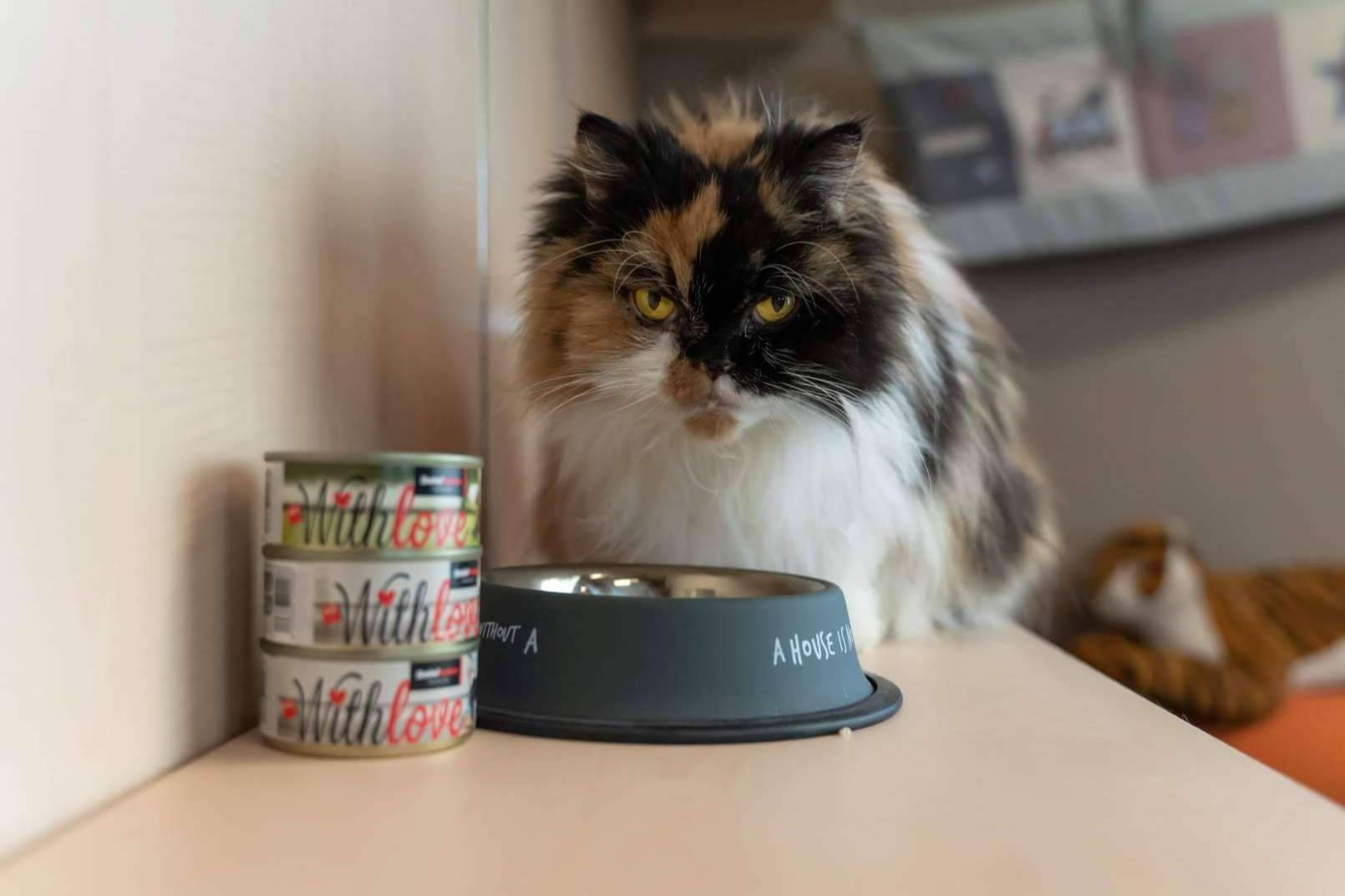 With Love, la nueva gama de comida húmeda para perros y gatos de Satisfaction