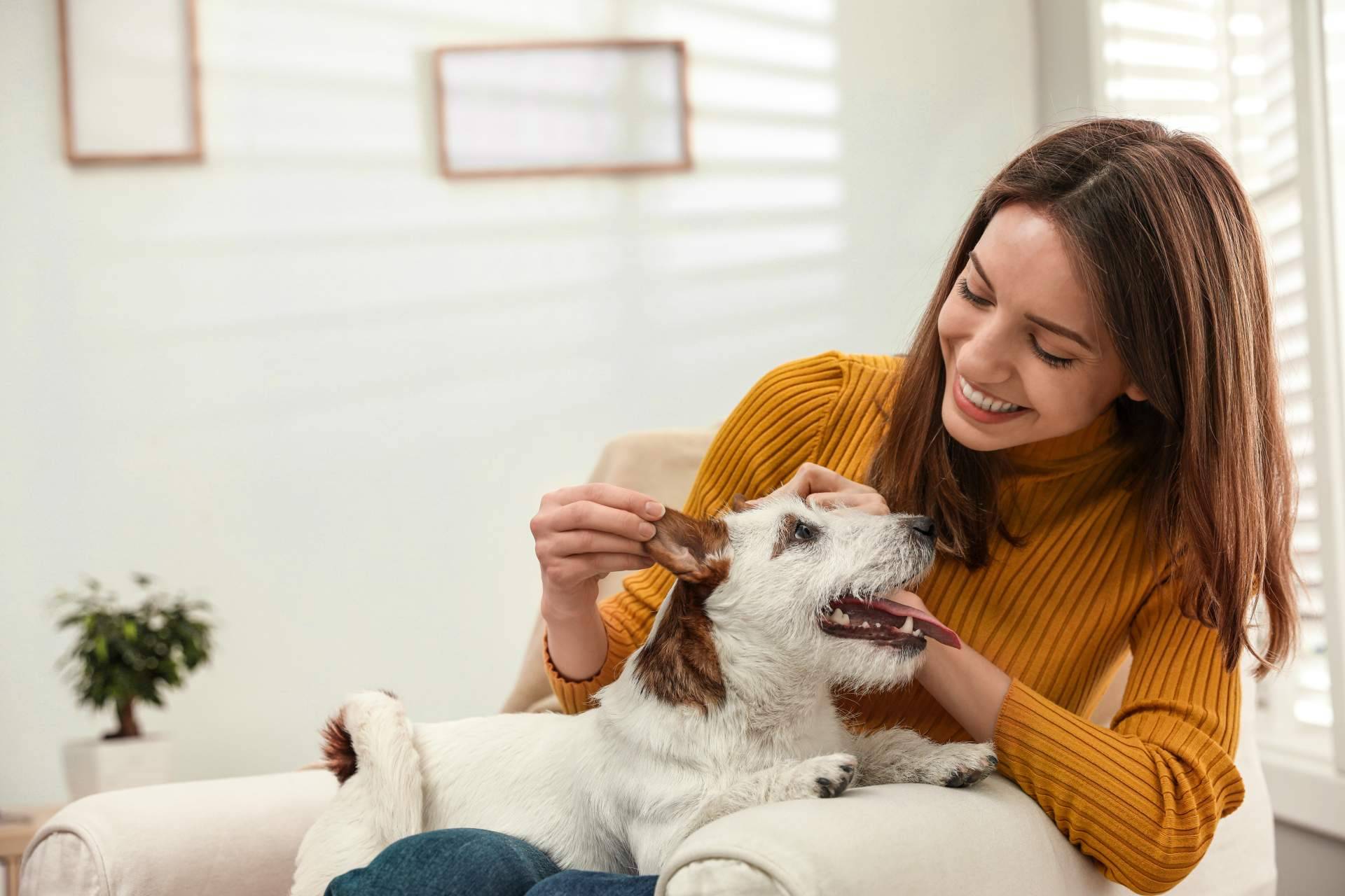 ClickGuau, una aplicación con contenido de mascotas segura, divertida y entretenida