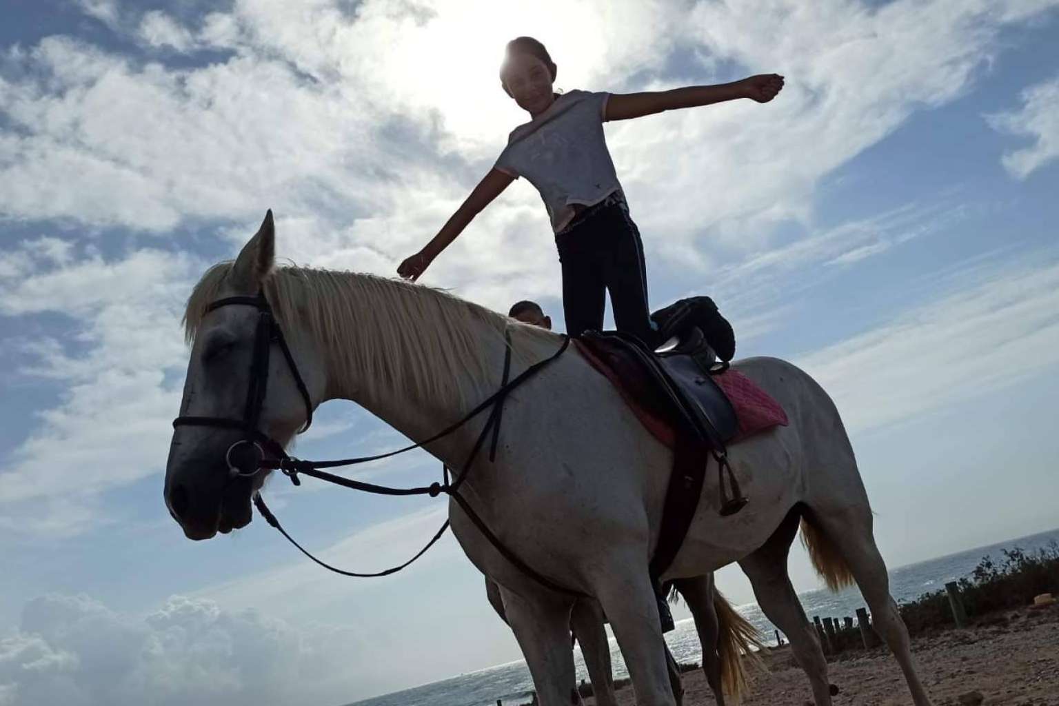 ¿Cómo descubrir todo lo que Cartagena tiene que ofrecer? Con Planout