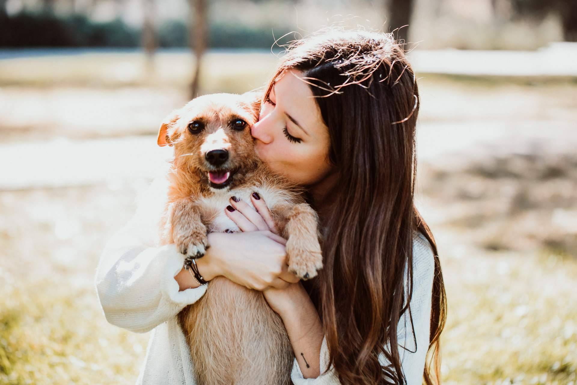 Adopción de animales en España a través de la aplicación Amazdog