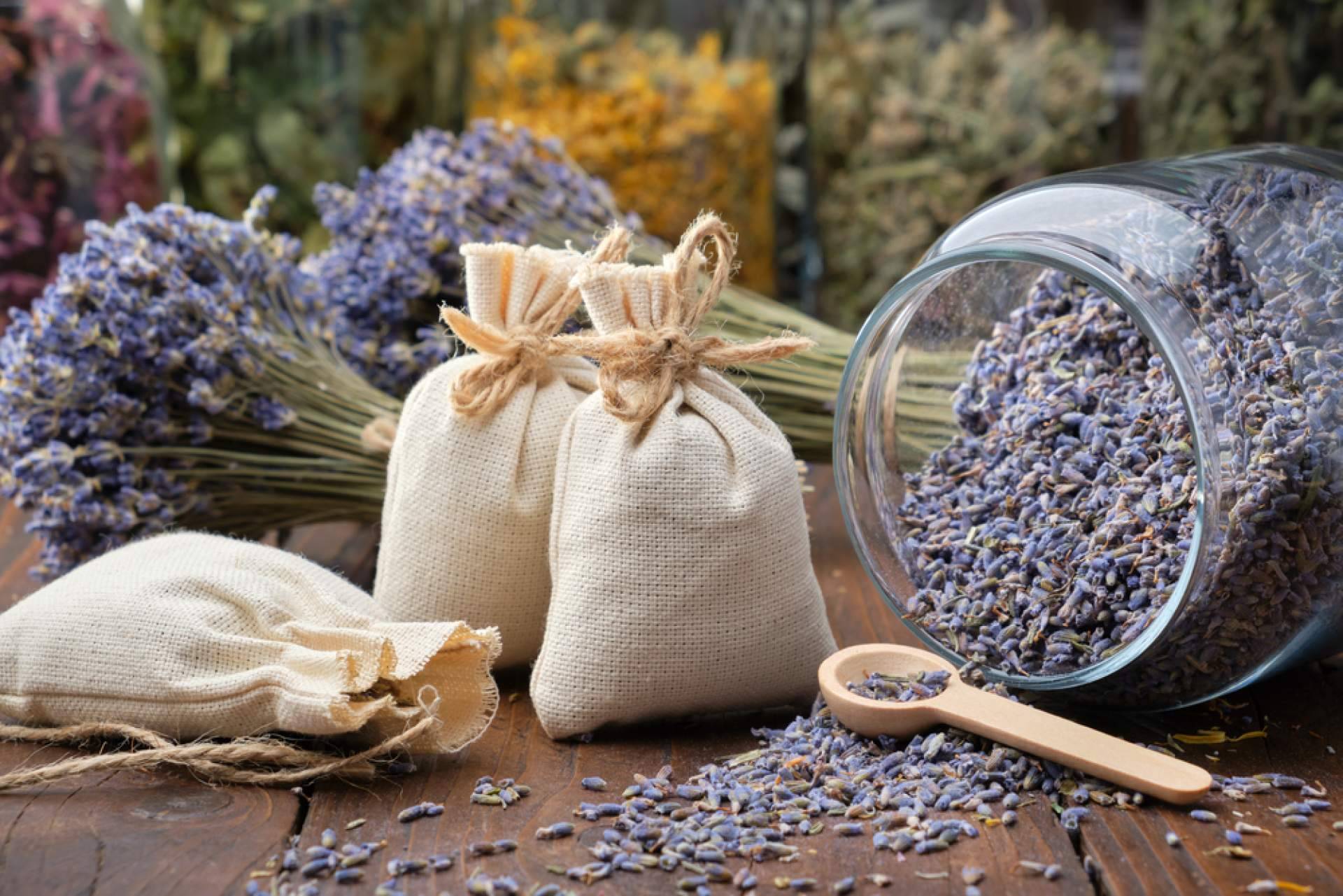 Los beneficios de la aromaterapia, por Vip Style Magazine