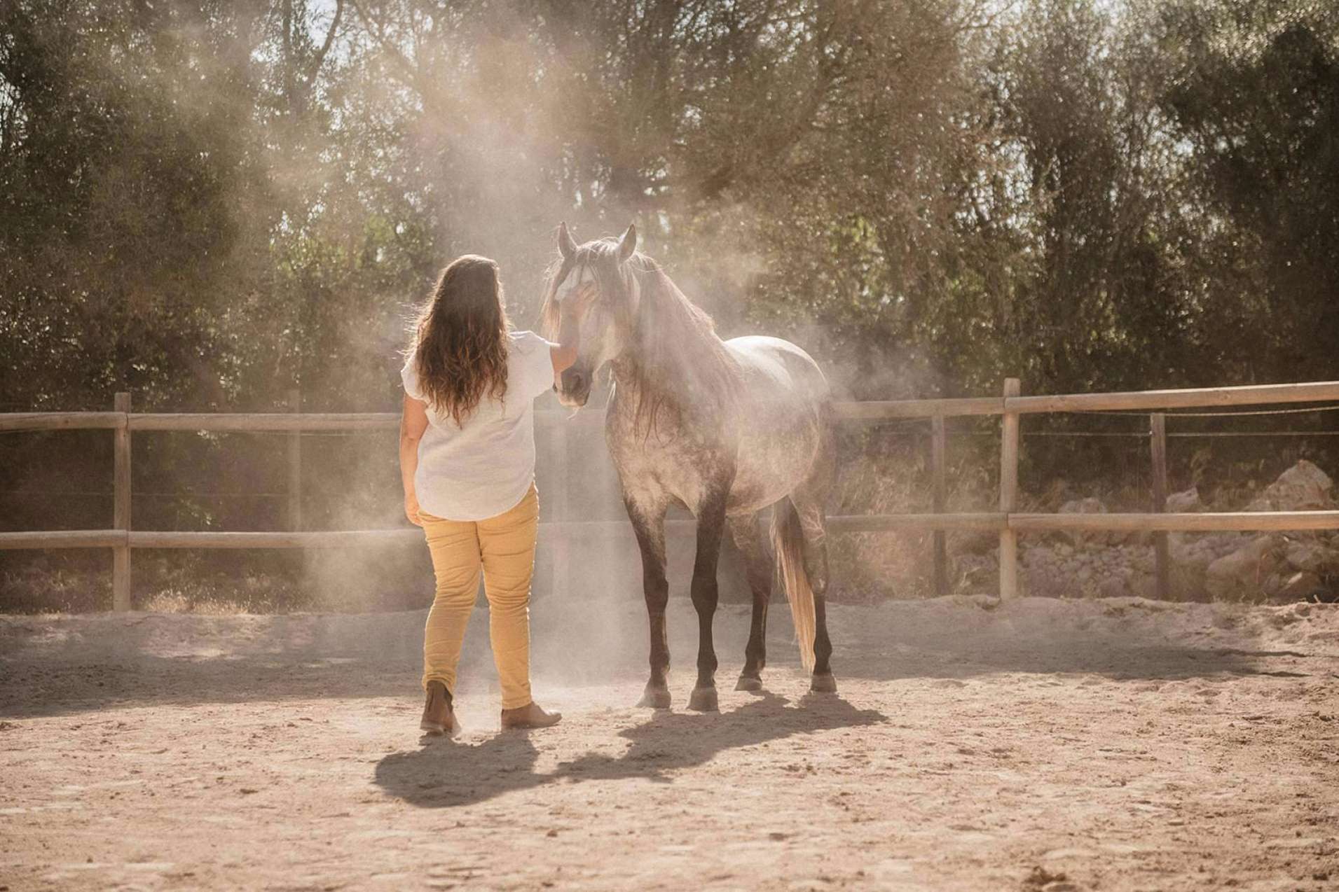 Coaching asistido de caballos para personas individuales de la mano de Son Cavalls