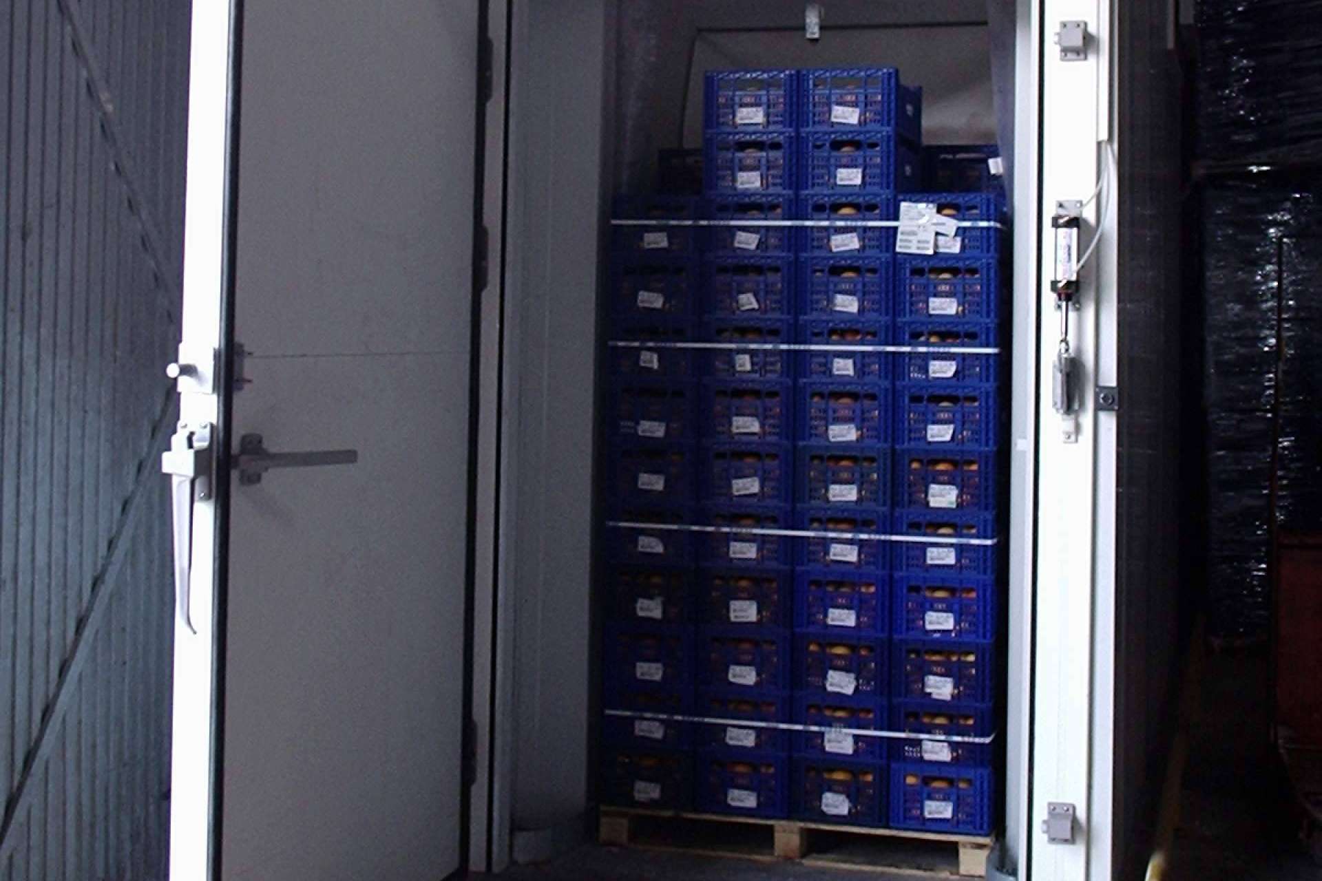 Pretecval, equipos de enfriamiento rápido para frutas y cítricos