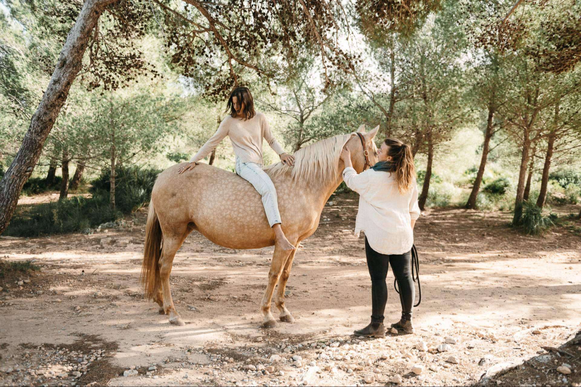 Reducción y gestión de estrés gracias al coaching asistido por caballos