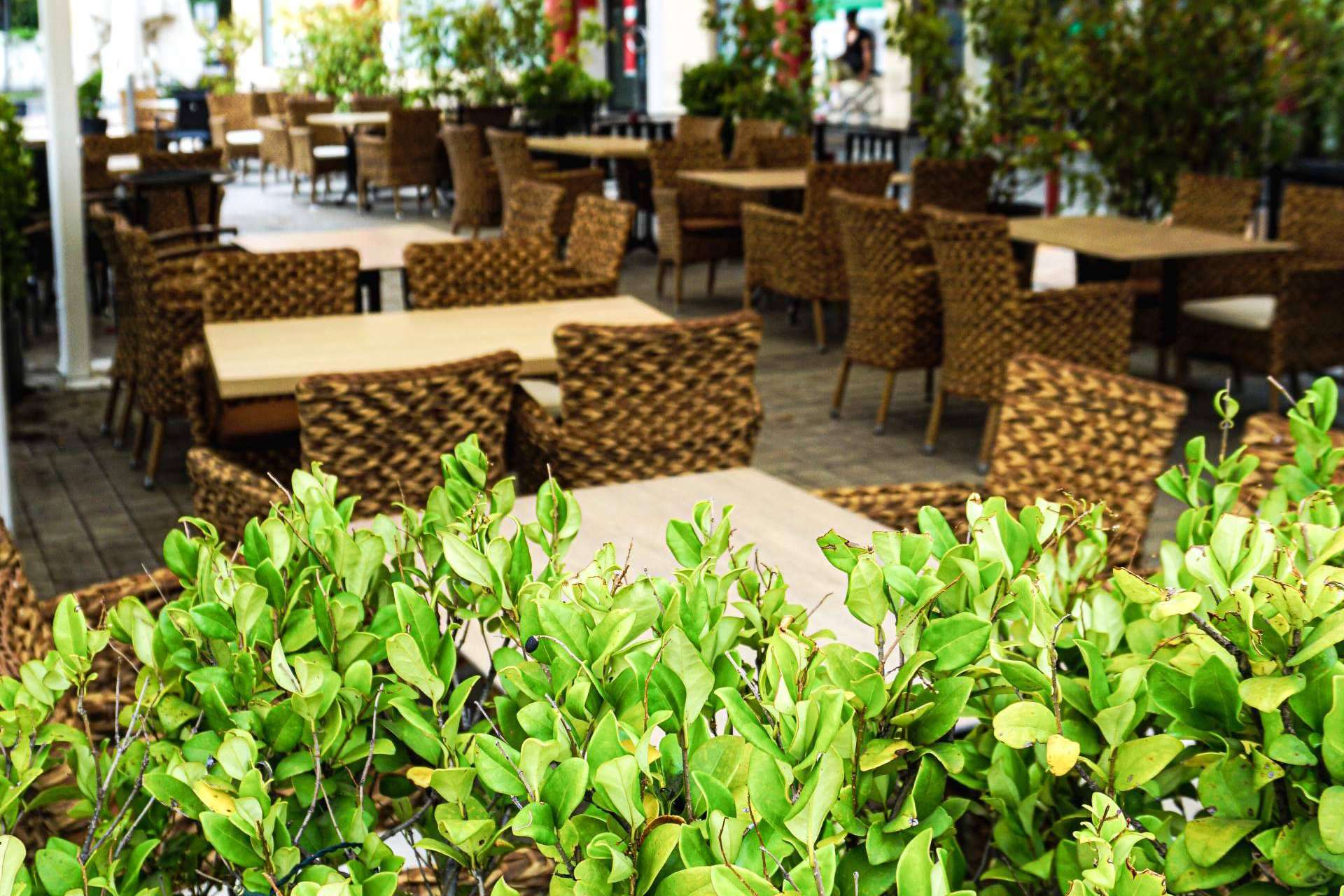 Disfrutar de una cena excepcional bajo las estrellas en la terraza de La Rotonda de Rivas