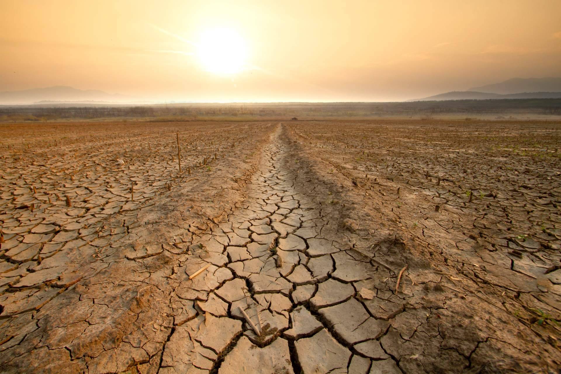 El Metaforum del Clima impulsa el cambio legislativo con una asamblea joven comprometida