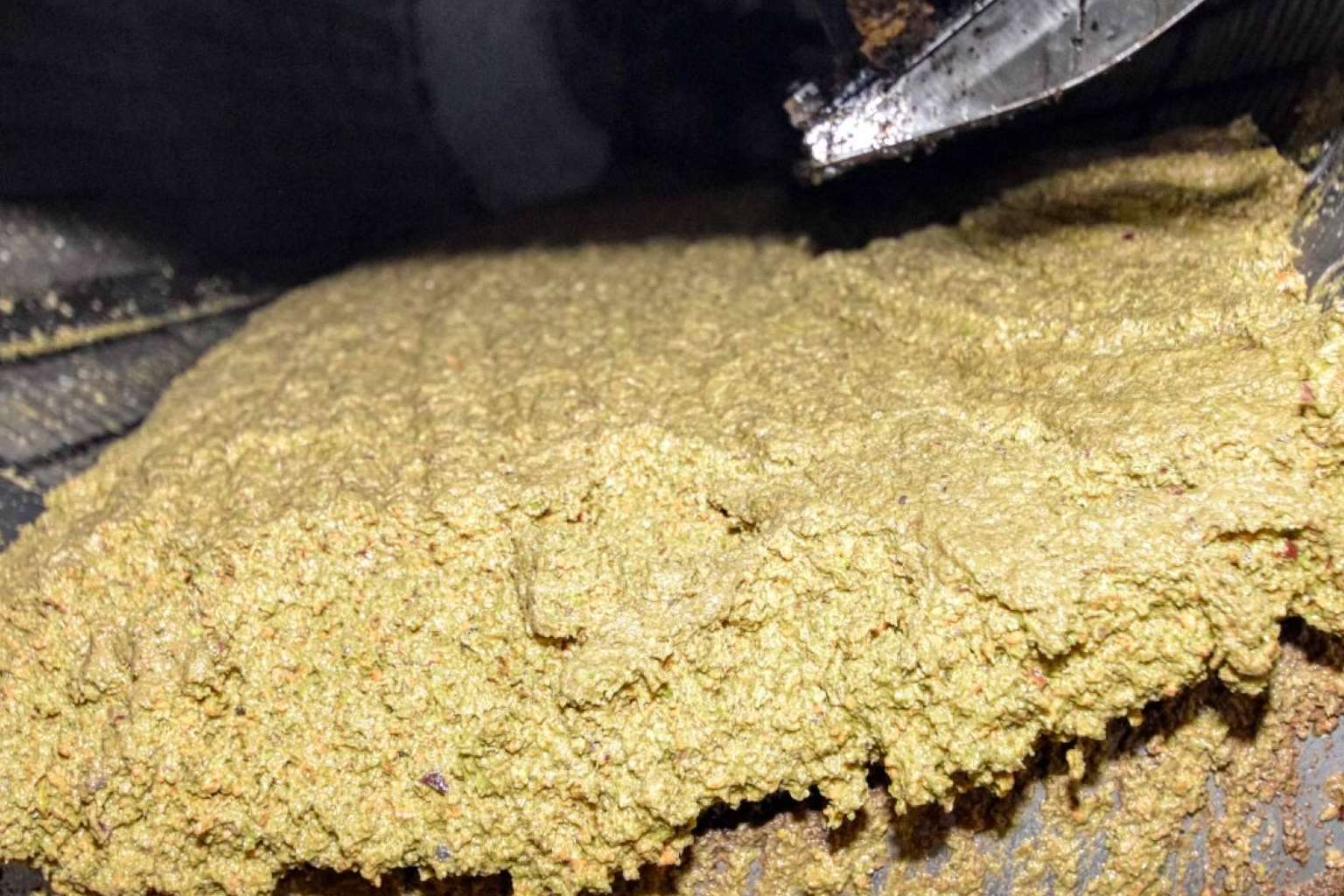 Tercio de las Torres señala las diferencias entre el aceite de oliva sin filtrar y el filtrado