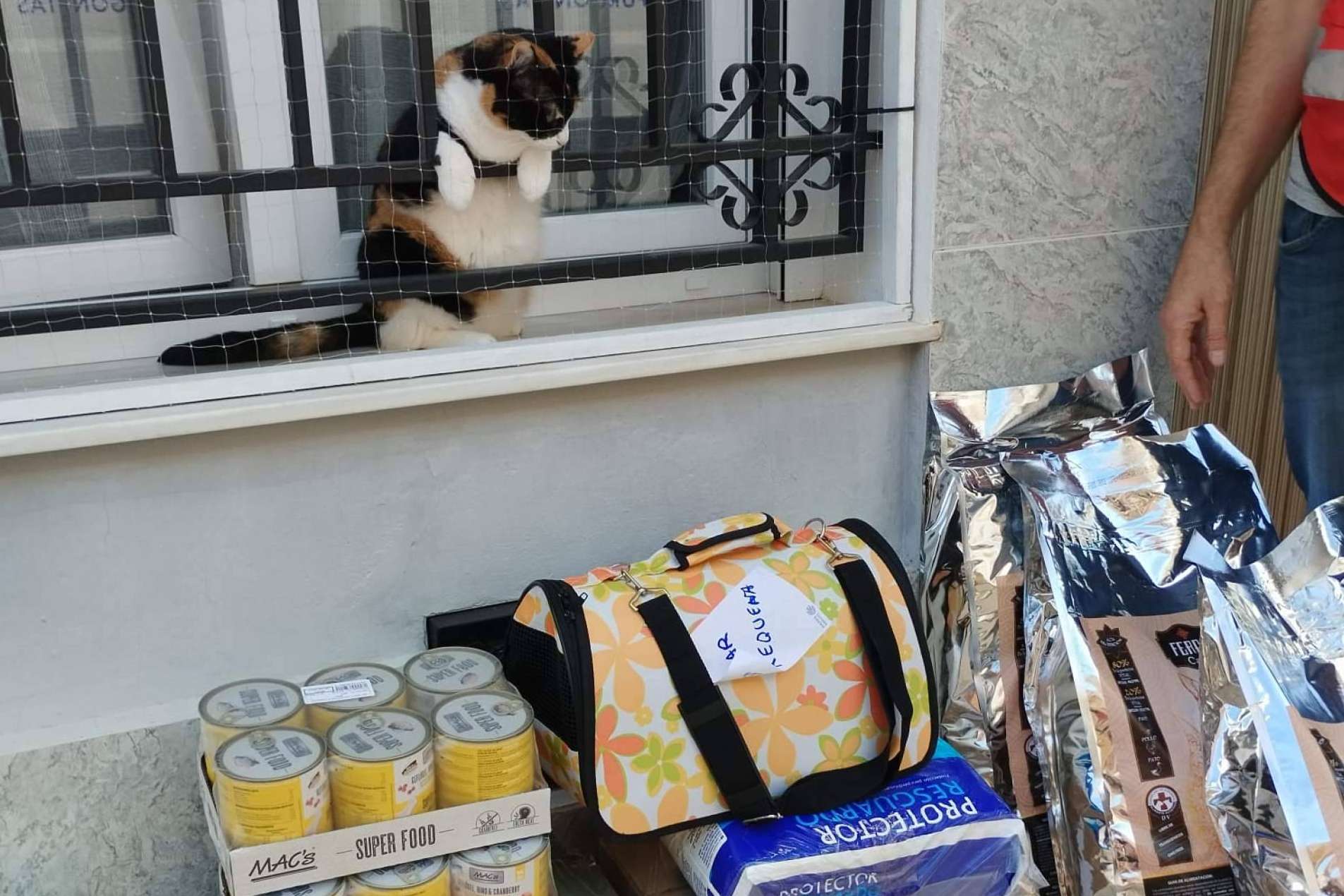 Ka Salud Integral lanza Solidaridad Feral para auxiliar refugios afectados por la DANA