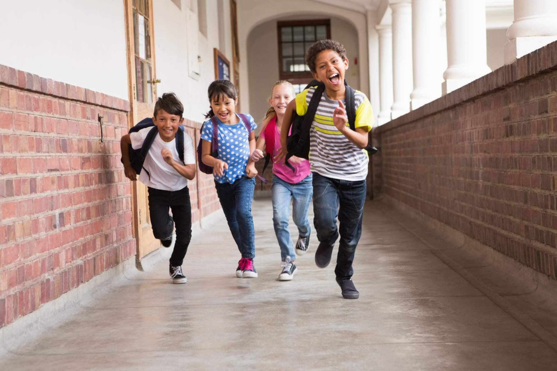 Mad English transforma el aprendizaje del inglés con su método TELL y clases online en directo