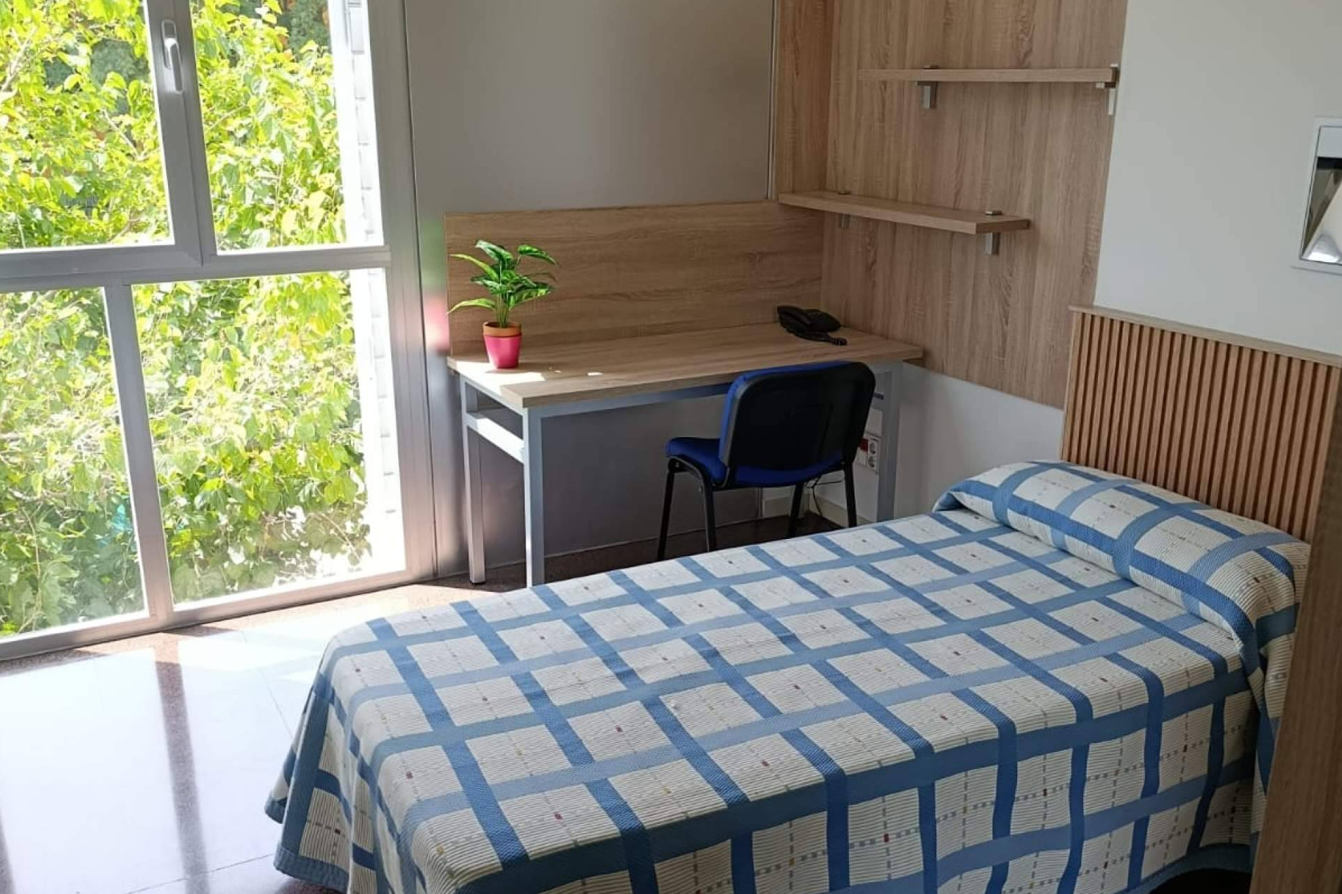Una residencia universitaria femenina en Murcia que combina confort, valores y vida académica