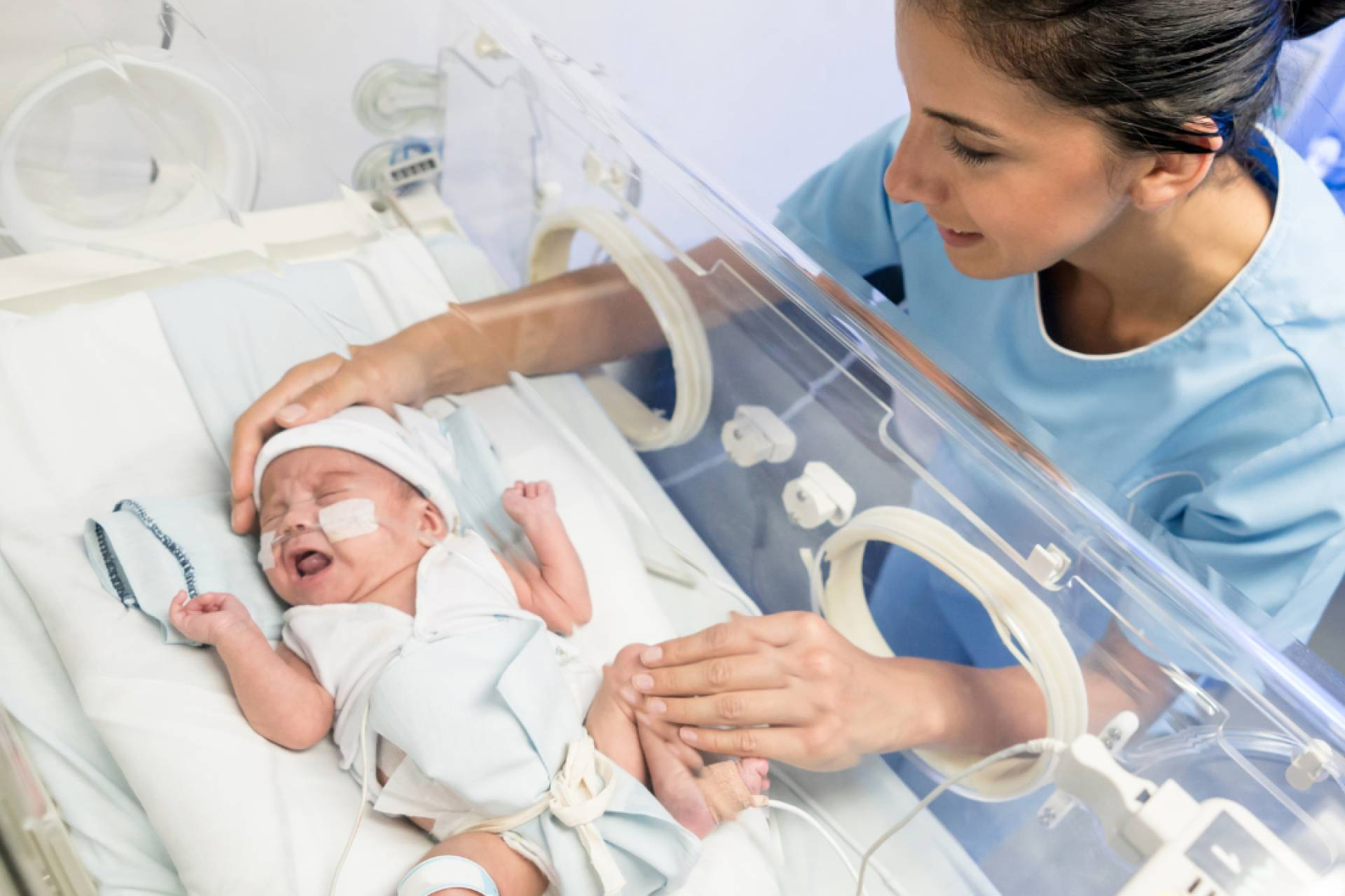 Cuando la vida se adelanta, el viaje invisible de las familias de bebés prematuros